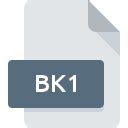 BK1 File .